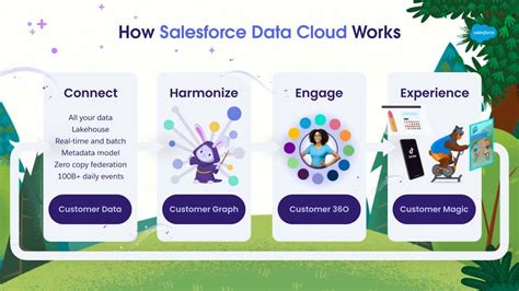 Salesforce-Data-Cloud Schulungsangebot