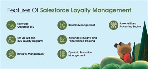 Salesforce-Loyalty-Management Buch