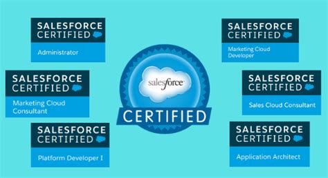 Salesforce-Marketing-Associate Zertifikatsdemo