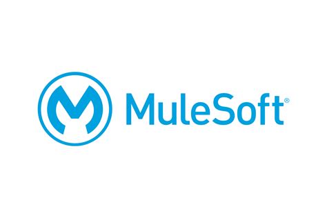 Salesforce-MuleSoft-Developer-I Buch