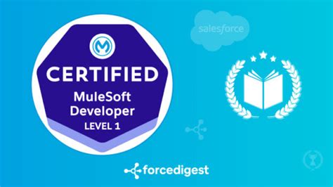 Salesforce-MuleSoft-Developer-I Buch