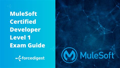 Salesforce-MuleSoft-Developer-I Exam