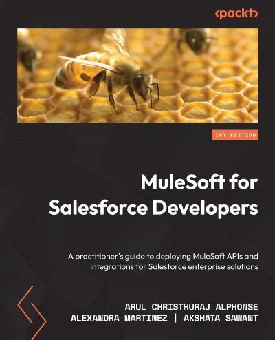 Salesforce-MuleSoft-Developer-I Lernressourcen.pdf