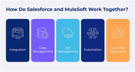 Salesforce-MuleSoft-Developer-I Simulationsfragen