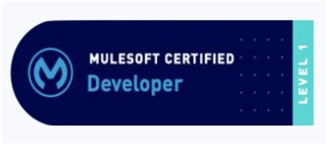 Salesforce-MuleSoft-Developer-I Testing Engine