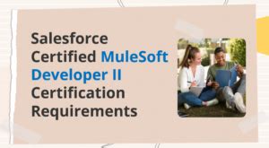 Salesforce-MuleSoft-Developer-II Prüfungsvorbereitung