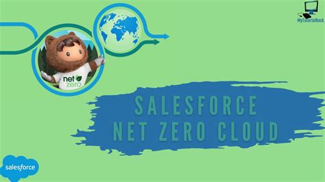 Salesforce-Net-Zero-Cloud Tests