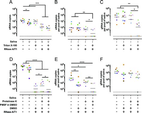 Salivary sfRNA is sensitive to nuclease degradation only after ...