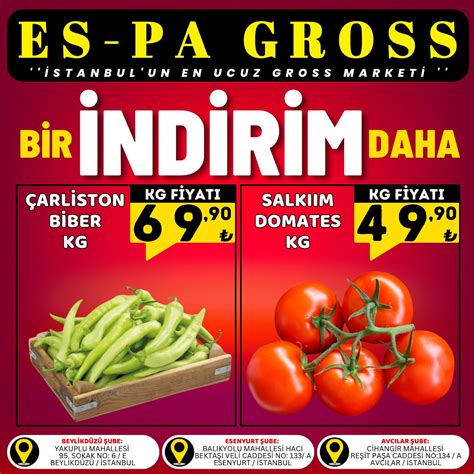 Salkiim Halı ve Koltuk Yıkama