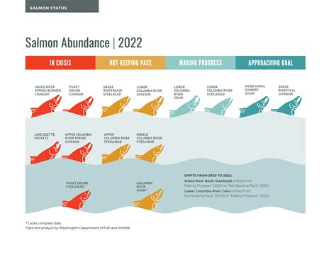 Salmon Abundance - State of Salmon