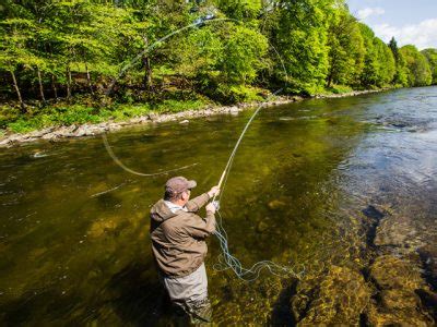 Salmon fishing - Review of Bowhill House & Grounds, Selkirk, …