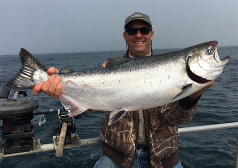 Salmon season. Inseason Commercial Salmon Harvest Timing Charts. Inseason harvest estimates will be available from mid-May through September. Please check back during the commercial fishing season for updated inseason harvest numbers. … 