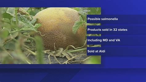 Salmonella in cantaloupes sickens dozens in 15 states, U.S. health officials say