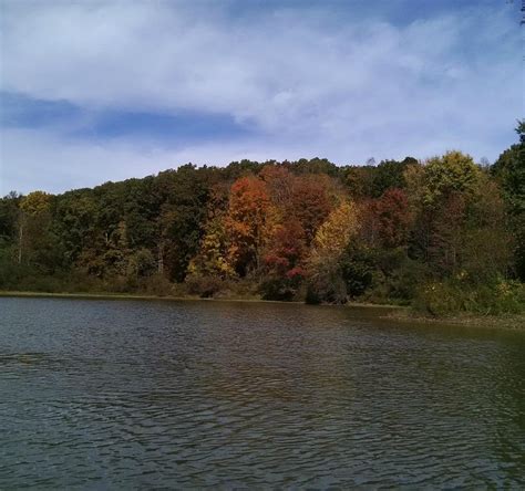 Salt Fork State Park (Cambridge) - All You Need to Know