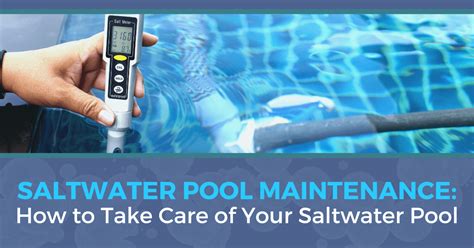Salt Water Pool Maintenance A Complete Guide