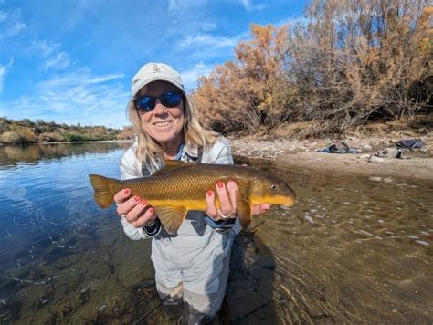 Salt river fishing spots.  Call us free of charge at 0800 700 700.  Cal...