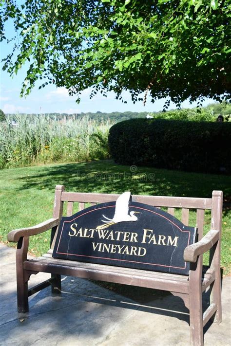 Salt water farm stonington ct. Saltwater Farm Info. www.saltwaterfarmvineyard.com. 860.415.9072. 349 Elm Street, Stonington, CT 06378. View Larger Map. 100 acres of coastal property featuring a renovated WWII vintage hangar opening onto terraces and the vineyard. They have a tasting room with regularly schedule. 
