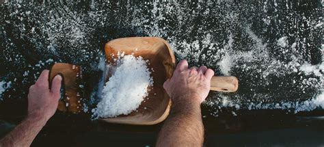Salt work. Explore Flavored Salts. SaltWorks is America's Sea Salt Company®. Offering the largest selection of all-natural sea salt in the world, SaltWorks is the most trusted name in artisan gourmet salts. 