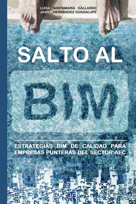 Salto al bim estrategias bim de calidad para empresas punteras del sector aec spanish edition. - Managerial accounting solutions manual ronald hilton e 7th.