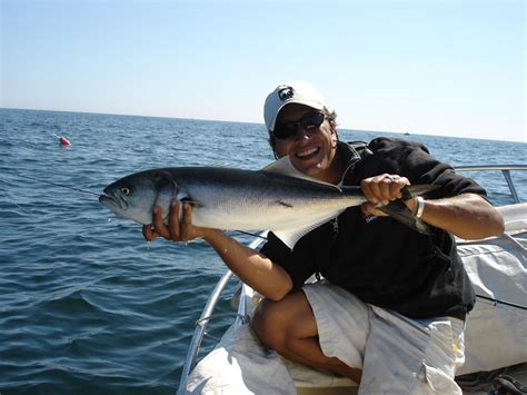 Saltwater Fishing - Bluefish Discover Boating