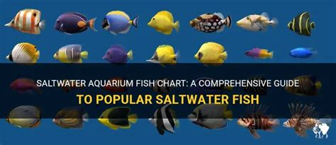 Saltwater fish florida.  This comprehensive guide provides an in-depth lo...
