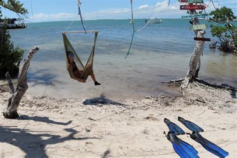Saltwater Seafari: Fabulous Adventure - See 55 traveler reviews, 37 candid photos, and great deals for Big Pine Key, FL, at Tripadvisor.