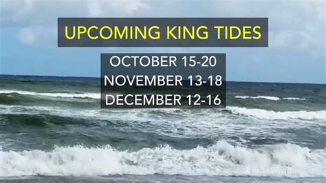 Saltwater tides south carolina. Things To Know About Saltwater tides south carolina. 