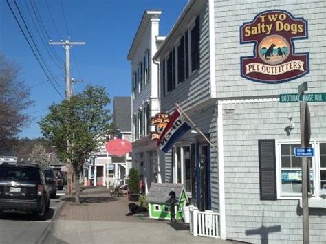 Salty Dog Marine Supply. 99 Poppasquash Rd Bristol, Town of RI 02809 (508) 332-2820. Claim this business (508) 332-2820. Website. More. Directions Advertisement. We sell high quality marine and fishing supplies at super low prices. Our marine consignment area is quickly becoming a local favorite.. 