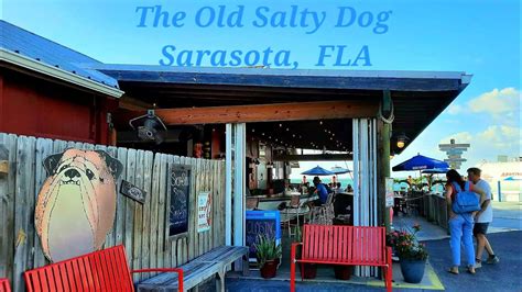 Salty dog sarasota. Specialties: Casual dining. Seafood, Burgers, Our World famous "Salty Dog" A 1/4 hot dog deep fried in our own beer batter. Try it fully loaded as seen on Tv's "Man-V-Food" Established in 1991. 