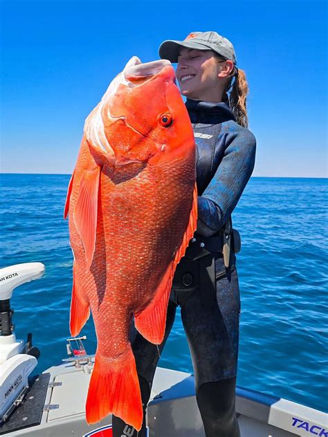 Salty_Rena Leaked +18 54 Vids