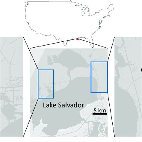 Salvador wildlife management area. Things To Know About Salvador wildlife management area. 