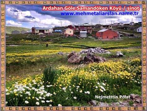 Samandoken Halı ve Koltuk Yıkama