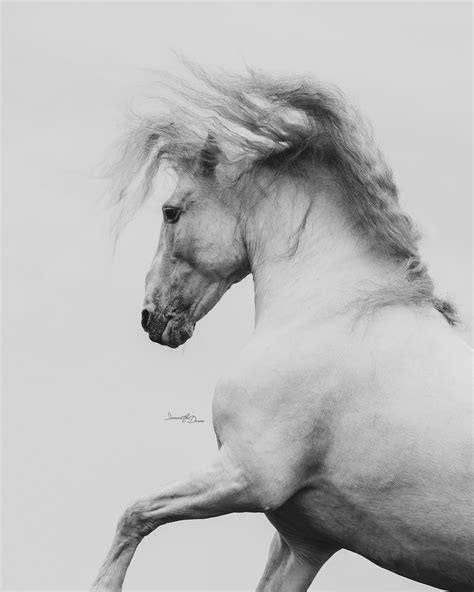 Samantha Dawn Leaked 🔥 PORN