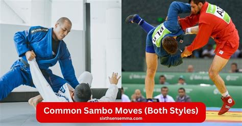 Sambo blow. com/ Sambo includes a wide range of techniques such as throws, hip ...