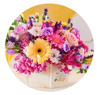 Same Day Flower Delivery in Marylebone NW1 Flower …