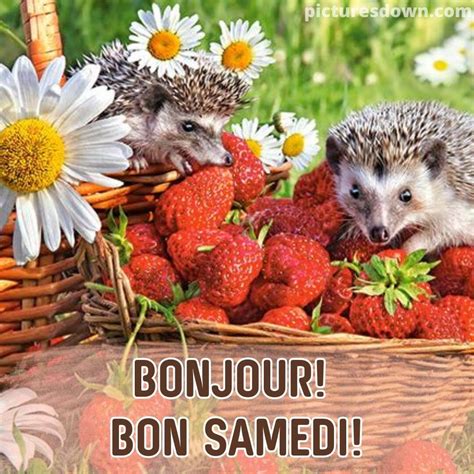 Samedi