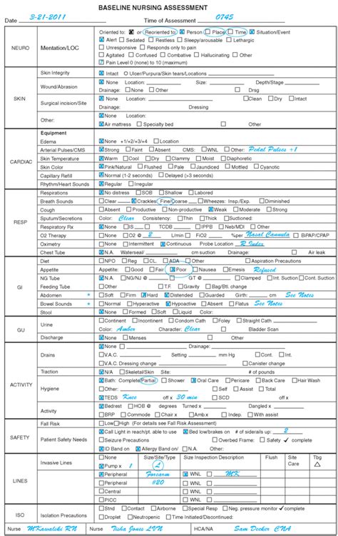 Sample Assessment Flow Sheet Example Home Health Nurse Nursing Home