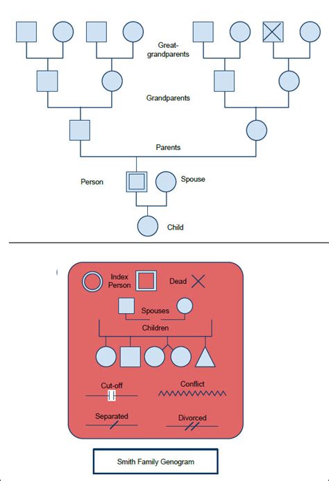 Sample Genogram Template 15+ Free Documents in PDF, Word