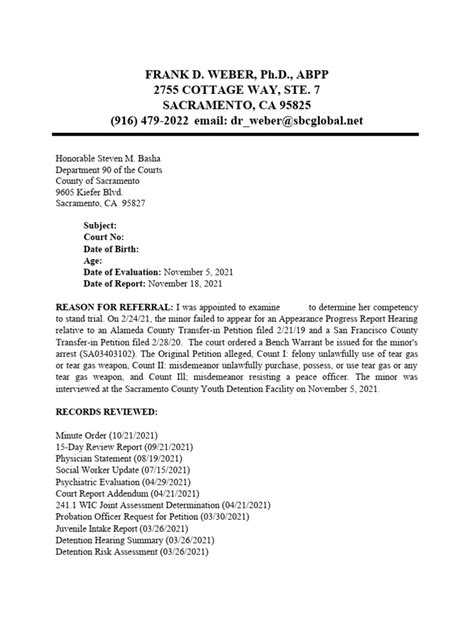 Sample Juvenile Report PDF