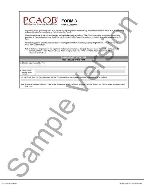 Sample PCAOB Form 3 PDF