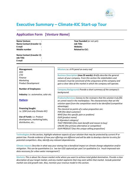 Sample Project Executive Summary Template Addictionary Project