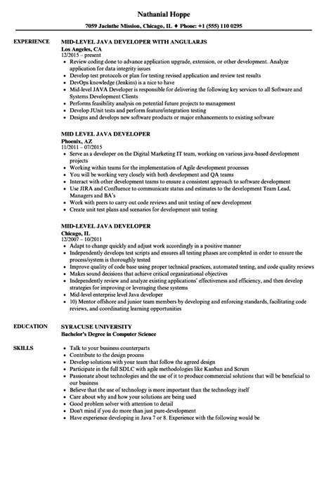 Sample Resume for a Midlevel IT Developer