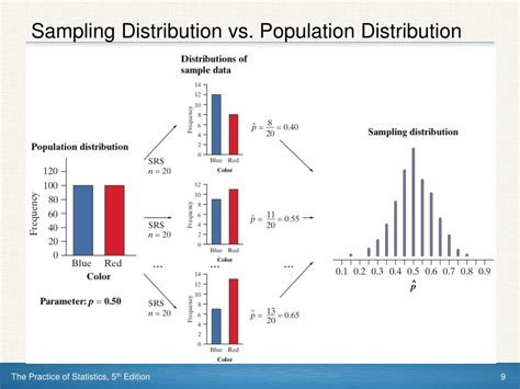 Sample distribution vs sampling distribution.  The sample distribution displays the ...