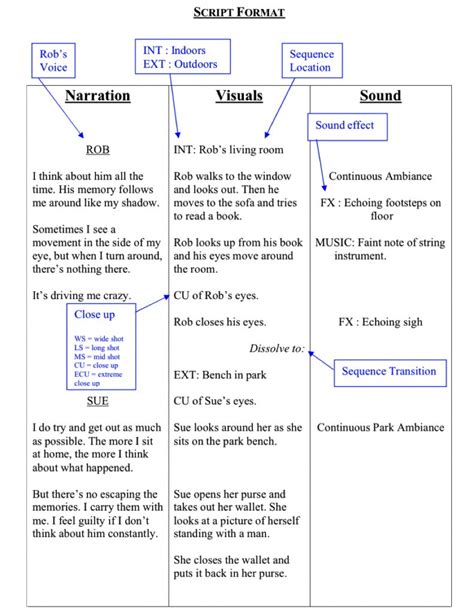 Sample documentary script template