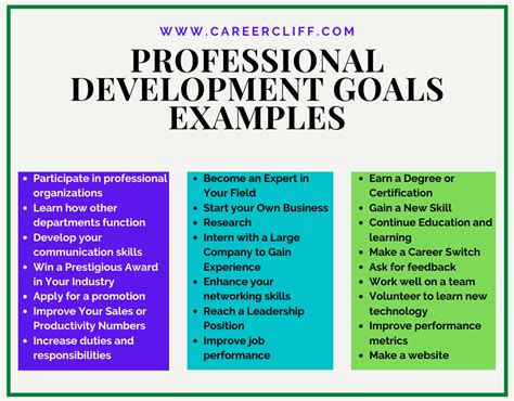 Sample professional development goals for executives