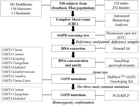 Sample workflow for laboratory testing. G6PD, glucose6phosphate