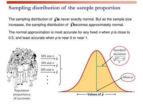 Sampling distribution for dummies.  6.  The more samples, the closer the r...