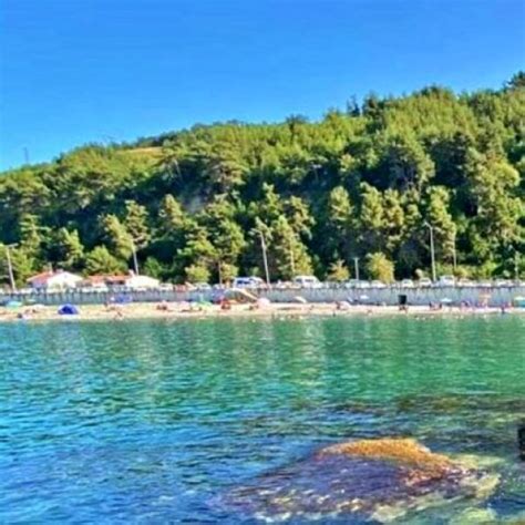 Samsun Alacam terapi halı yıkama