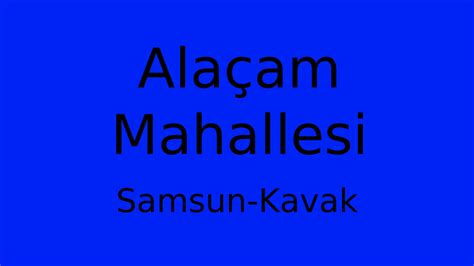 Samsun Alacam Killik Mahallesi terapi halı yıkama