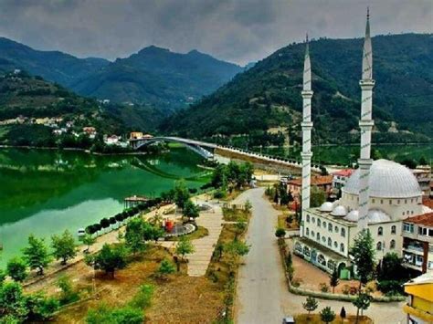 Samsun Ayvacik terapi halı yıkama
